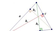 Podstawowe elementy trójkąta abc