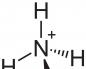 Гидроксиламин нь хортой боловч химийн үйлдвэрт маш их эрэлт хэрэгцээтэй урвалж бодис юм.