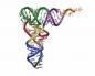 डीएनए की आनुवंशिक भूमिका की खोज
